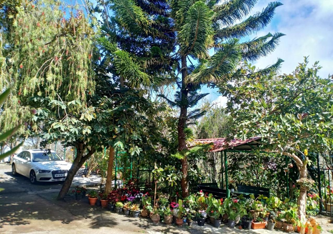 Silver Spruce Entire Nature Villa Kotagiri Kültér fotó