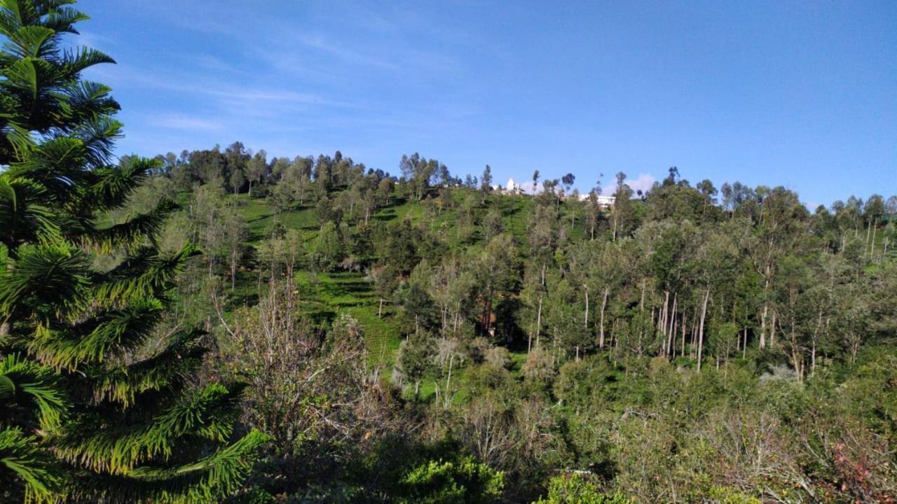 Silver Spruce Entire Nature Villa Kotagiri Kültér fotó