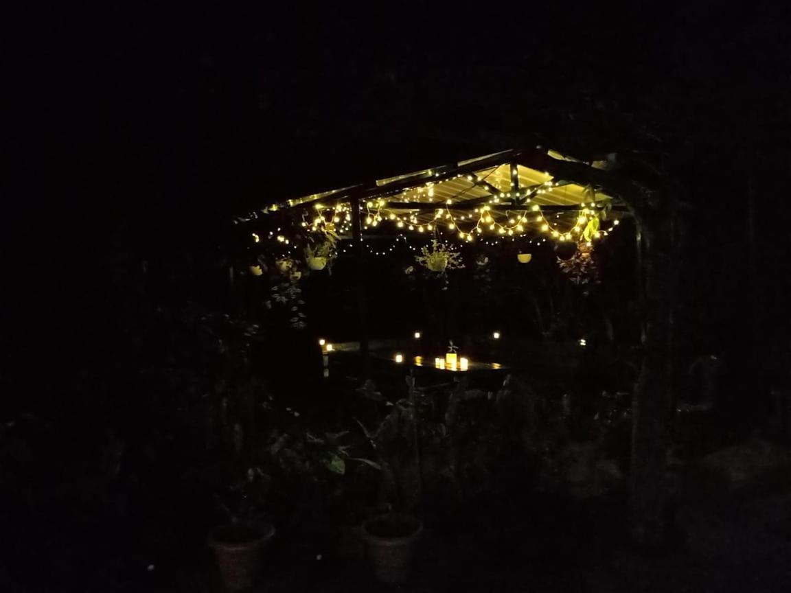 Silver Spruce Entire Nature Villa Kotagiri Kültér fotó