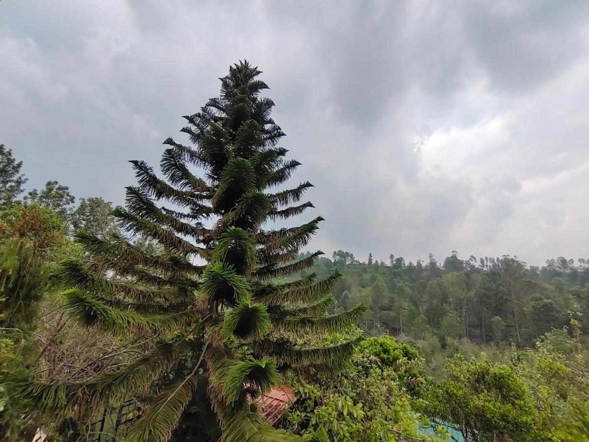 Silver Spruce Entire Nature Villa Kotagiri Kültér fotó