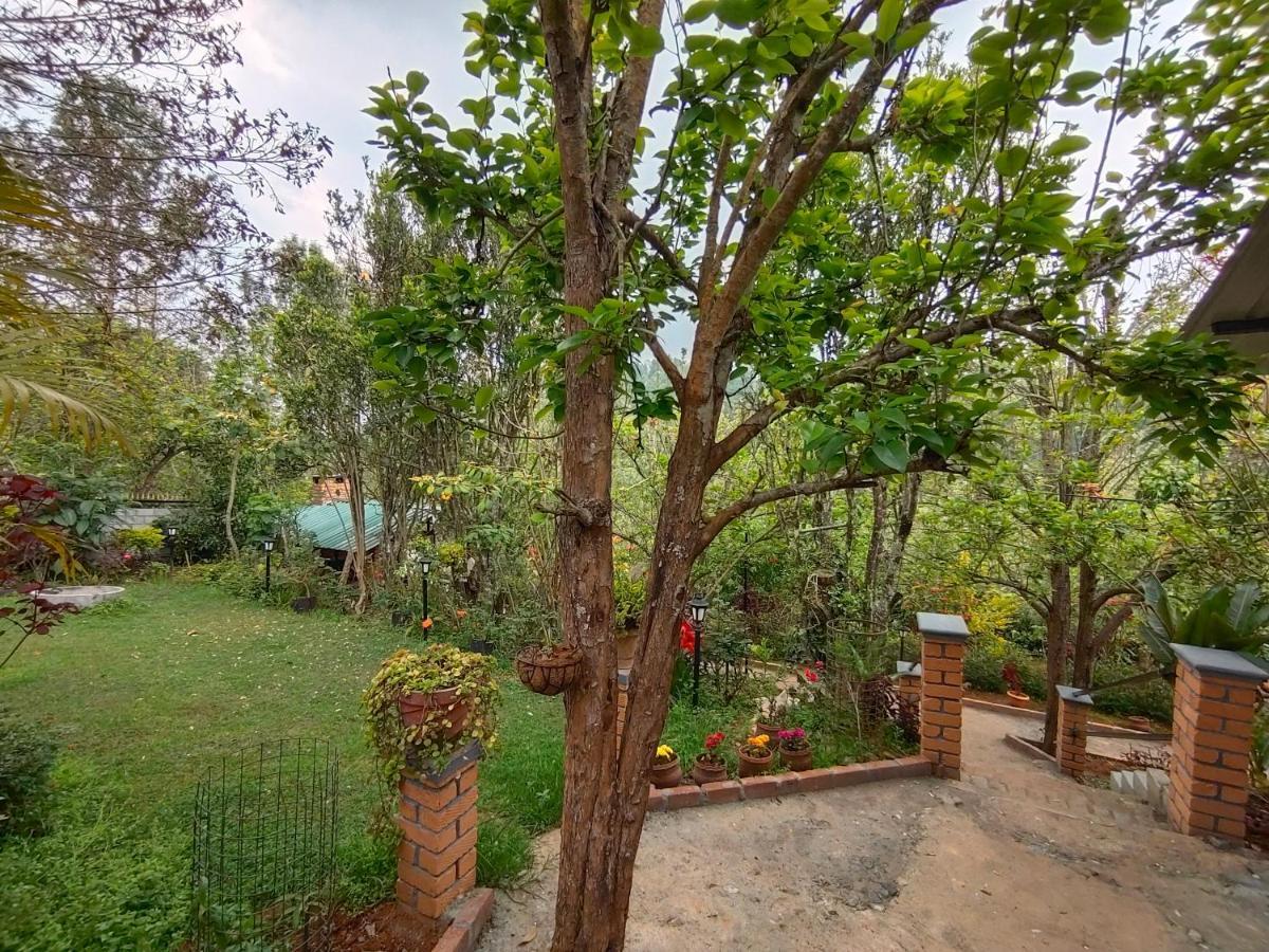 Silver Spruce Entire Nature Villa Kotagiri Kültér fotó