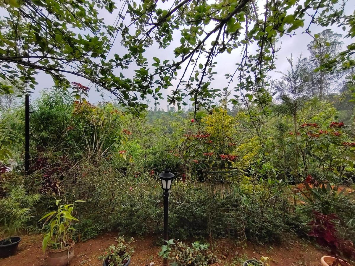 Silver Spruce Entire Nature Villa Kotagiri Kültér fotó