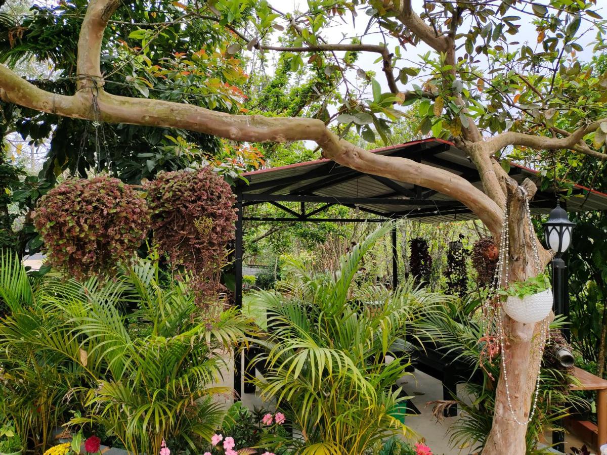 Silver Spruce Entire Nature Villa Kotagiri Kültér fotó