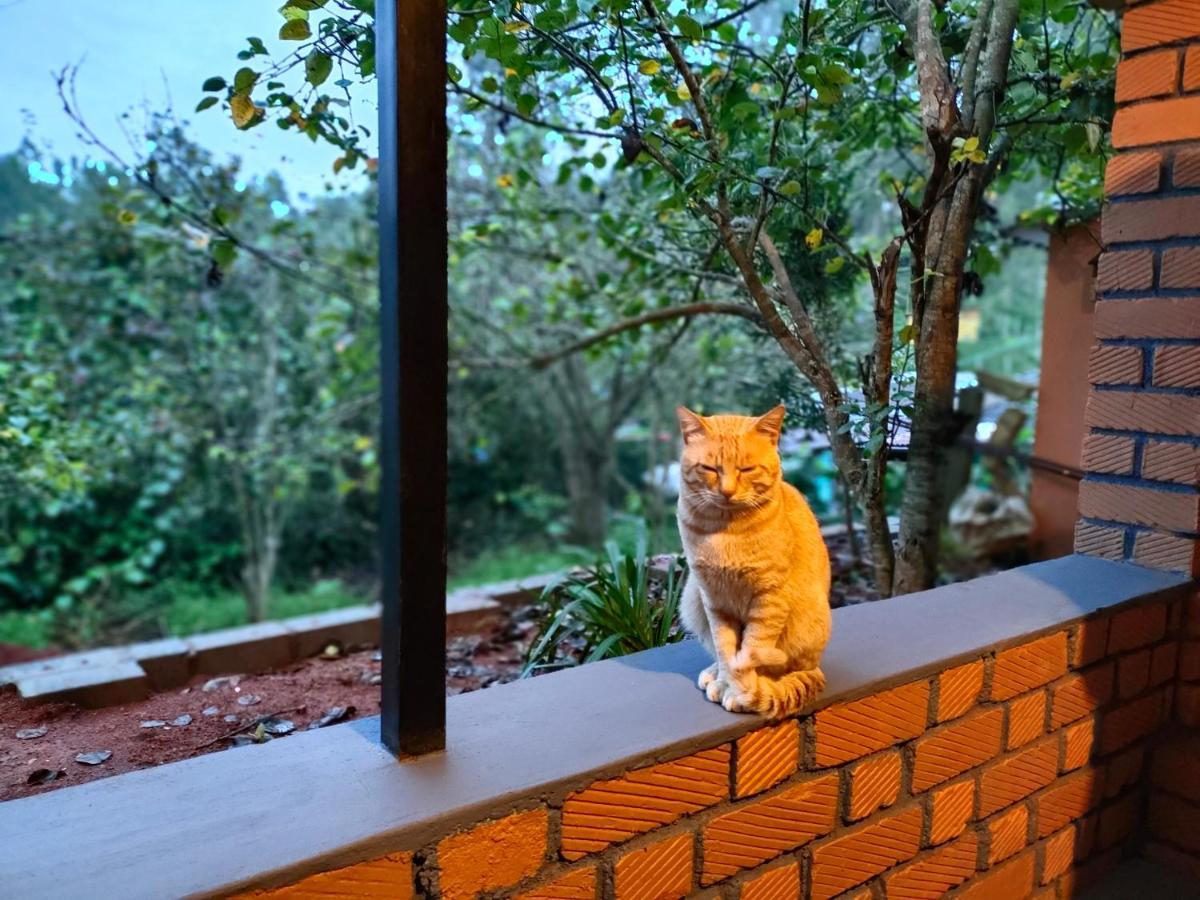 Silver Spruce Entire Nature Villa Kotagiri Kültér fotó