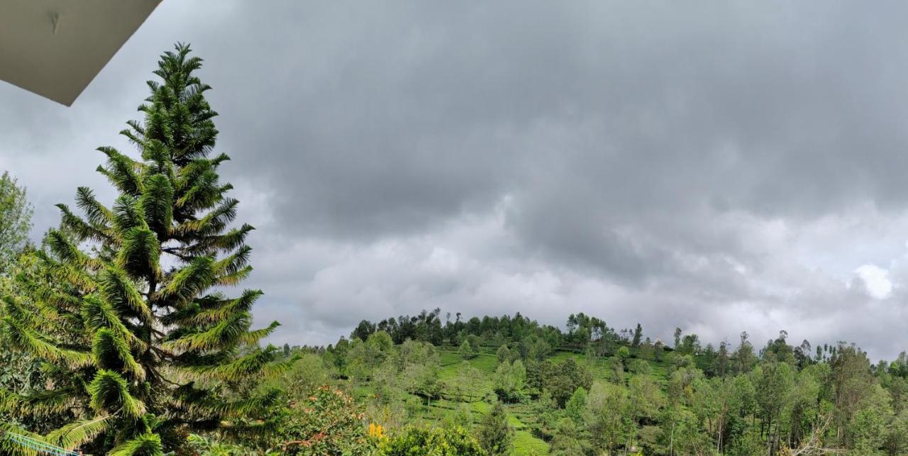 Silver Spruce Entire Nature Villa Kotagiri Kültér fotó