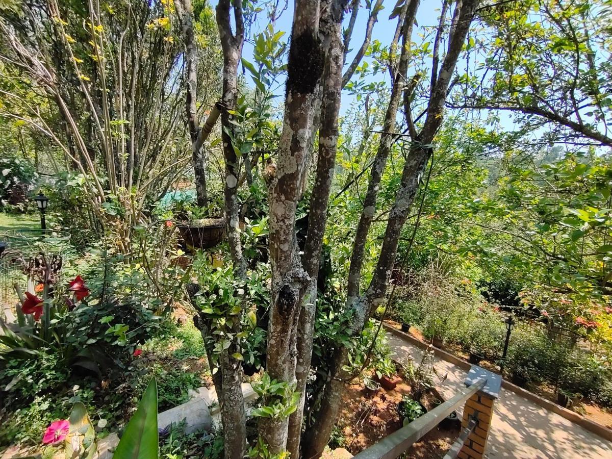 Silver Spruce Entire Nature Villa Kotagiri Kültér fotó